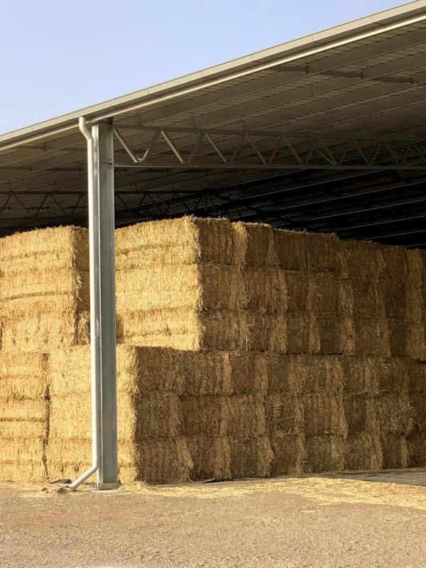 Hay stacked in shed